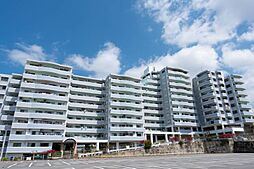 コートヴィレッジ那覇 8--