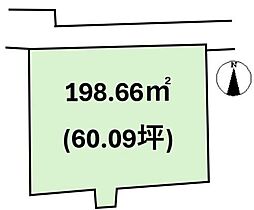 松山市立花