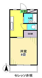 セレッソ赤坂