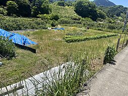 伊予郡砥部町五本松 五本松 80万円 売土地