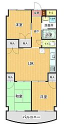 マルイカトレア