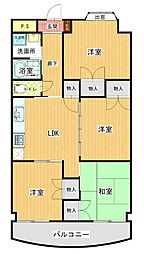 マルイカトレア