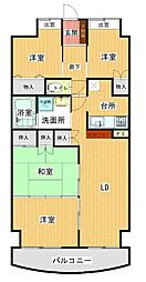 マルイマーガレット