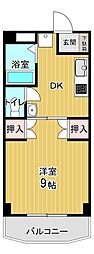 マルイブーゲンビリア