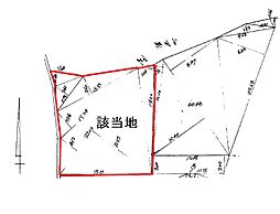 松山市石手白石