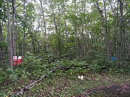 鹿部本別別荘地