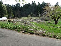 田茂木野売地
