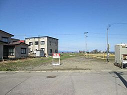 野内菊川