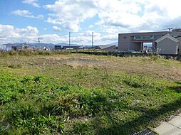 荒川柴田