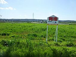 上野有原