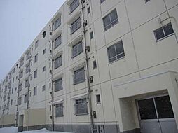 ビレッジハウス若草1号棟 305号室