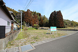 東諸県郡国富町大字岩知野の土地