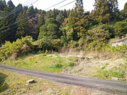 宮崎市高岡町内山の土地