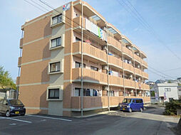 ピュアハイツ（2LDK） 201号