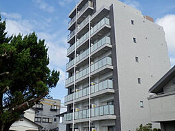 Ko Oina Yanagimaru（コオリナ柳丸） 501号