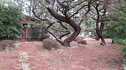 宮崎市阿波岐原町前浜の土地