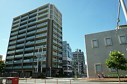 オーヴィジョン宮崎県庁南  東南角住戸　リフォーム済　３F