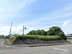 東諸県郡綾町大字入野の土地