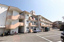 ニチエン青島 209号室