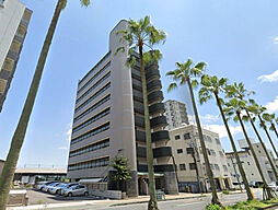 Raffine（ラフィーネ） 803号室