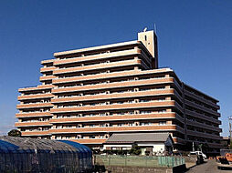 フラワーマンション神宮北 7階部分