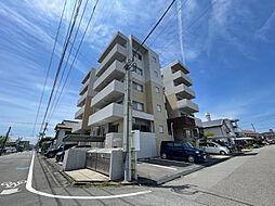 ALTE MEISTER Rino 502