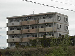 Ｓ・ＡＳＡＧＩＲＩ 202