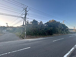 児湯郡川南町大字川南の土地