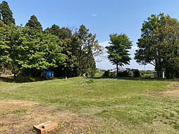 宮崎市田野町甲の土地