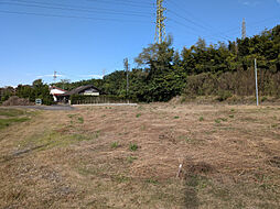 東諸県郡国富町大字本庄の土地