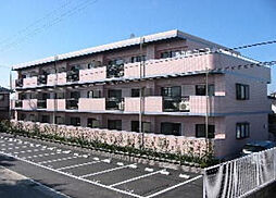 ピーチフローレ 202号室