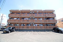 スープリーム 205