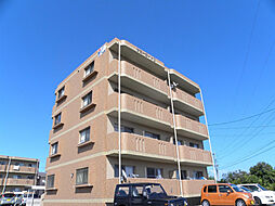 サニーコートII 302