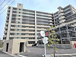 アルファステイツ芳泉