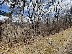 安達郡大玉村玉井字守谷山の土地