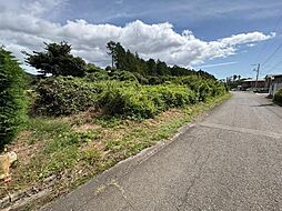 安達郡大玉村玉井字下額沢の土地