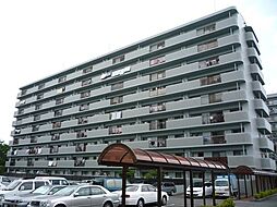 アーバン明治弐番館 301