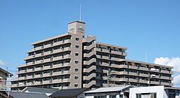 サーパス新川 809