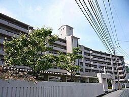 アスティオン王子 311