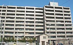 大分市王子港町