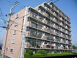 三和コーポ津守 305