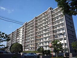 リベラル大洲 807