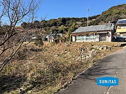 西尾市東幡豆町大西の土地