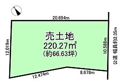 安城市城ケ入町山新田の土地