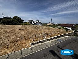 安城市城ケ入町山新田