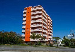 ＦＡＮ　ＴＯＲＩＩＭＡＮＳＩＯＮ 602