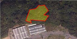 糸満市喜屋武土地