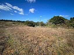 今帰仁村兼次土地