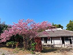 本部町新里古民家