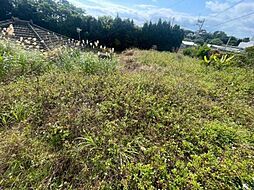 金武町金武土地